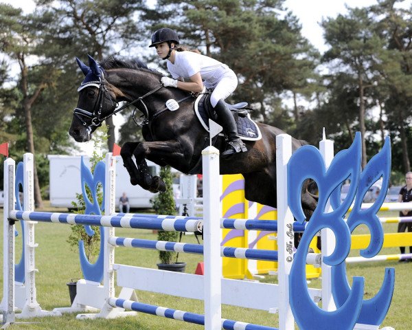 jumper Frl. Meyer 2 (Hanoverian, 2005, from For Edition)