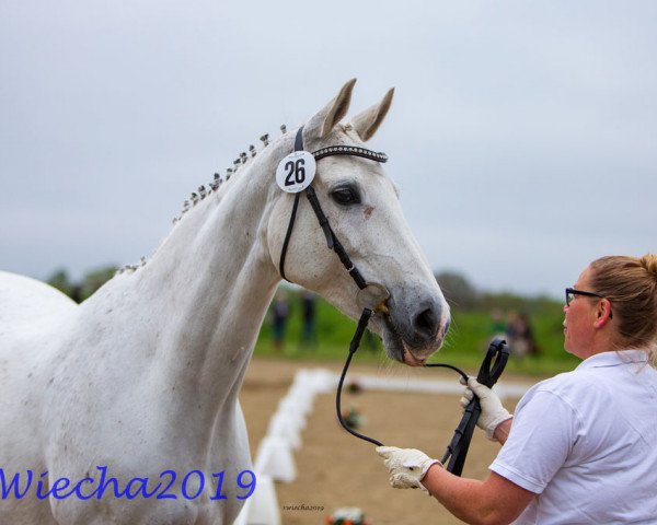 broodmare Eterna (Trakehner, 2005, from Exclusiv)