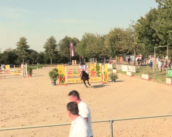 Reitturnier Appelhülsen 2016