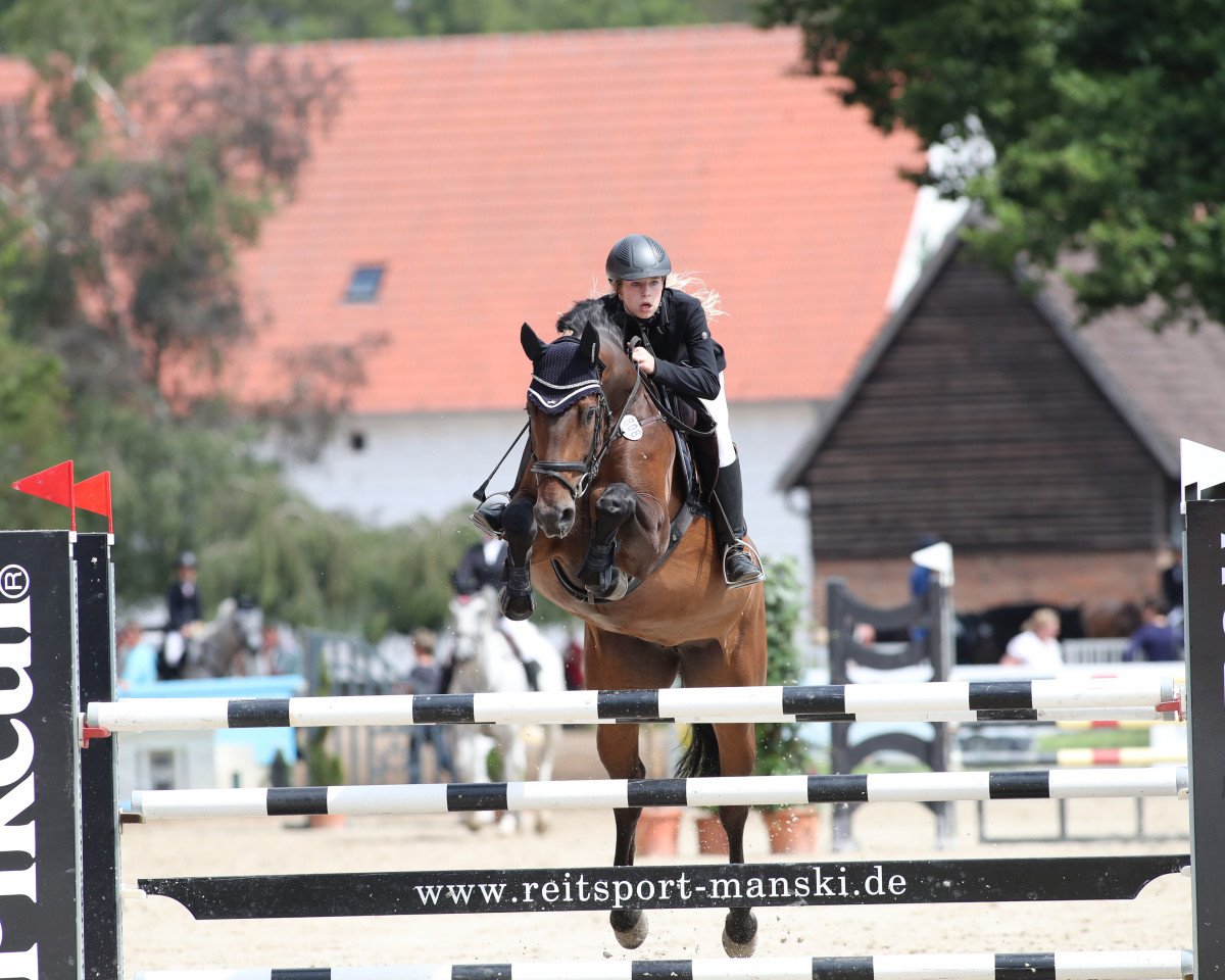jumper So So 3 (Mecklenburg, 2011, from Sergeant Pepper I)