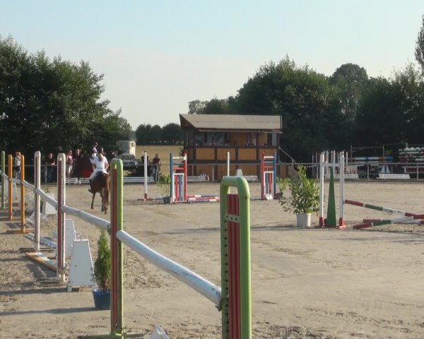 Reitturnier Appelhülsen 2016