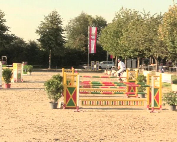 Reitturnier Appelhülsen 2016