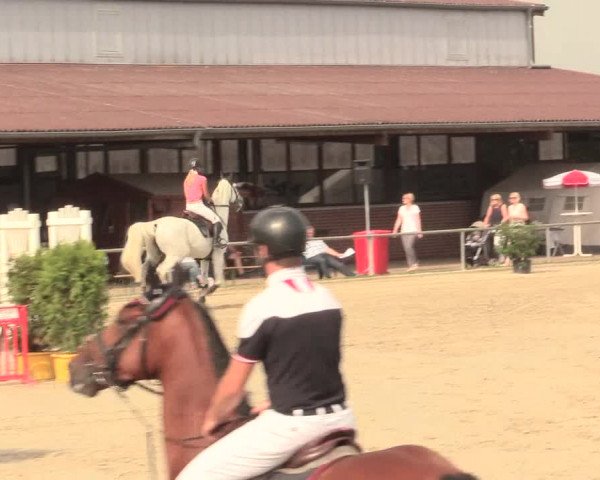 Reitturnier Appelhülsen 2016