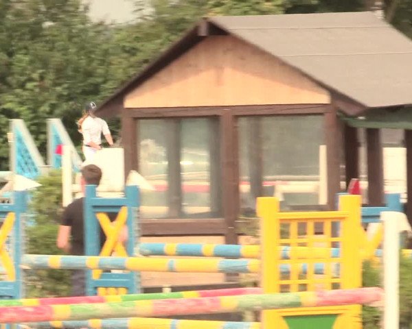 Reitturnier Appelhülsen 2016