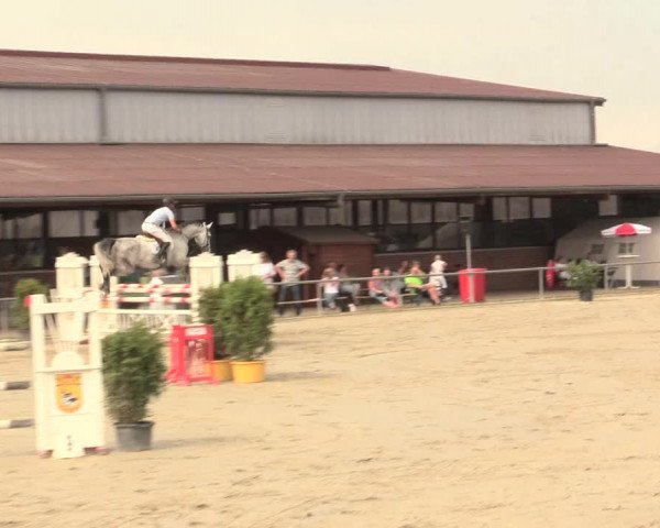 Reitturnier Appelhülsen 2016
