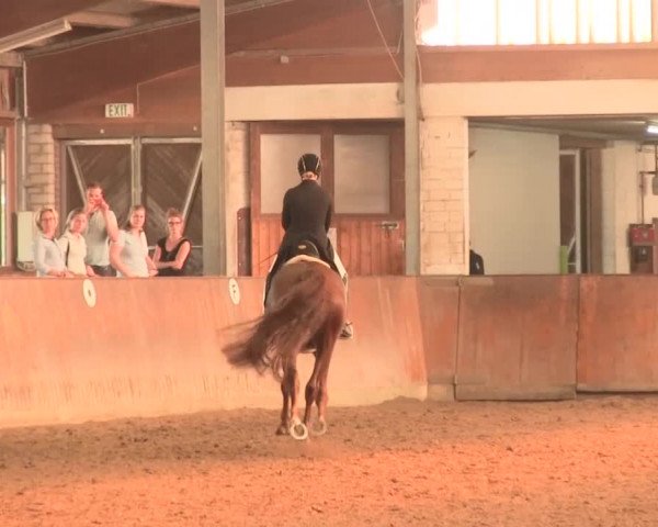 Reitturnier Appelhülsen 2016
