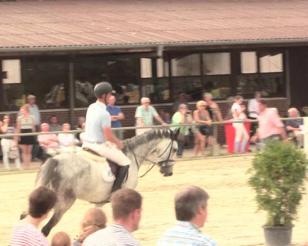 Reitturnier Appelhülsen 2016