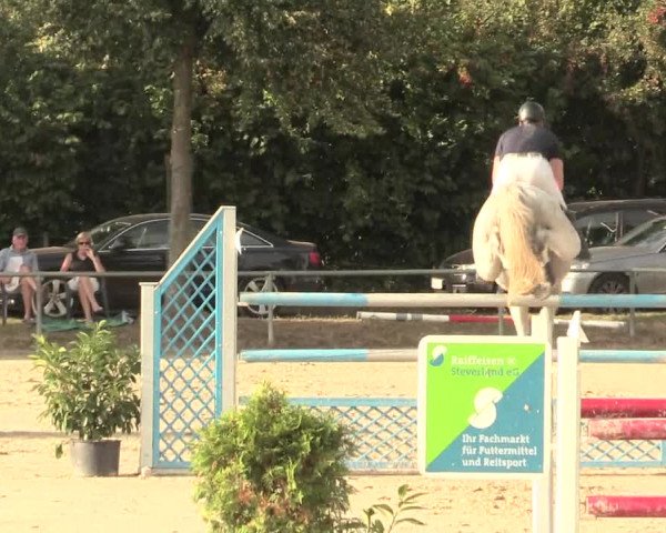 Reitturnier Appelhülsen 2016