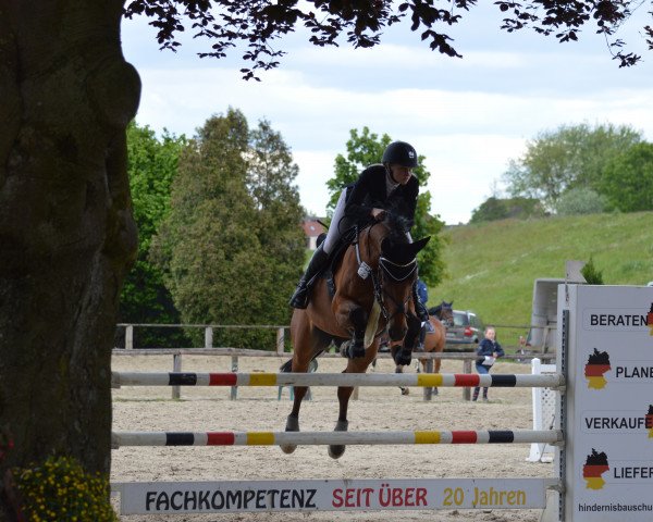 jumper Joy 400 (Zangersheide riding horse, 2009, from Jaloubet de Loupe)