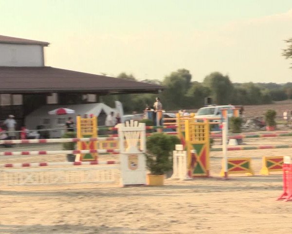 Reitturnier Appelhülsen 2016