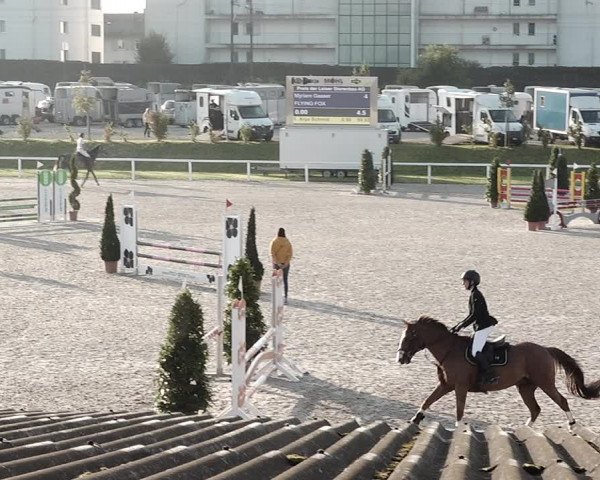 Pferdesporttage Bülach 2021
