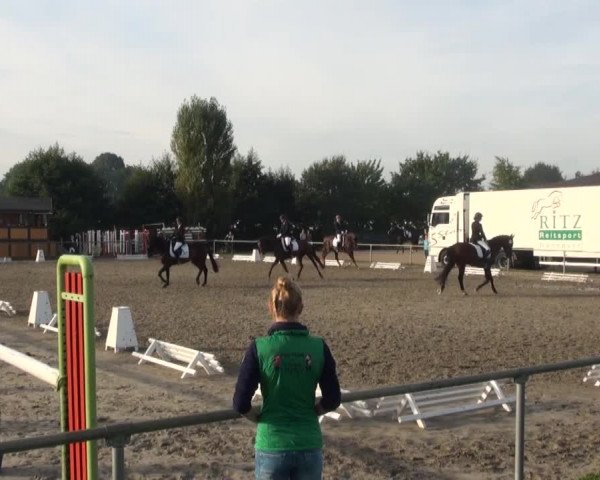 Reitturnier Appelhülsen 2016
