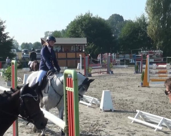 Reitturnier Appelhülsen 2016