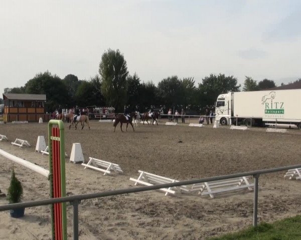 Reitturnier Appelhülsen 2016