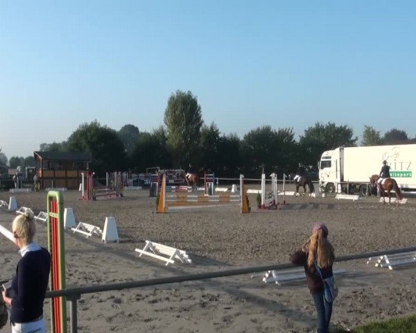 Reitturnier Appelhülsen 2016