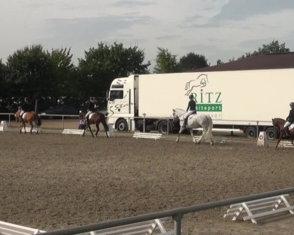 Reitturnier Appelhülsen 2016