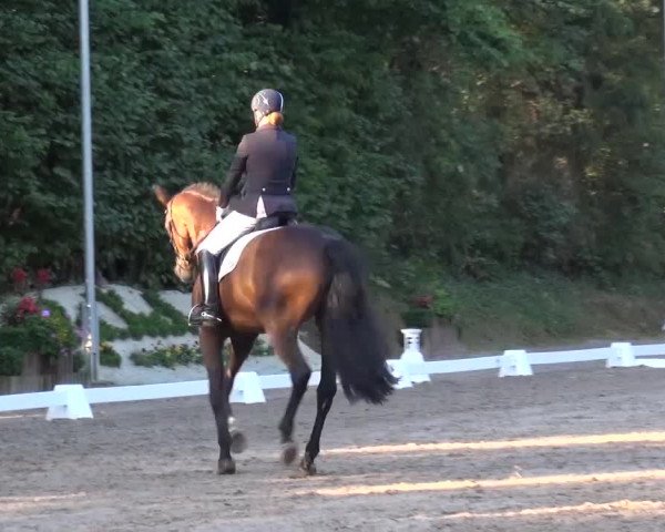 Reitturnier Würselen-Pley 2016