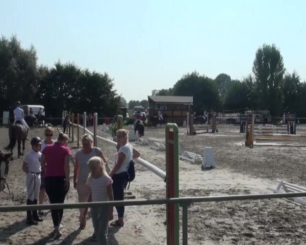 Reitturnier Appelhülsen 2016