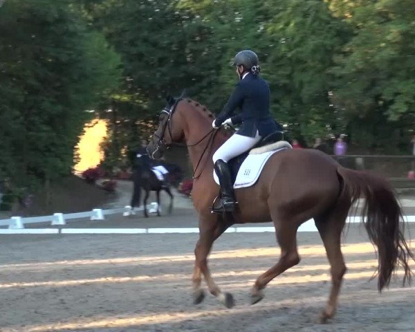Reitturnier Würselen-Pley 2016
