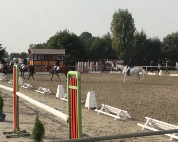 Reitturnier Appelhülsen 2016