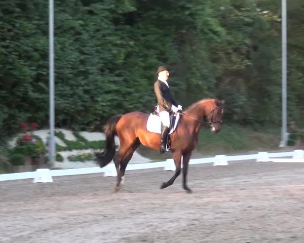 Reitturnier Würselen-Pley 2016
