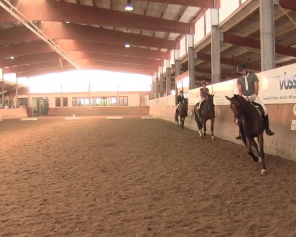 Reitturnier Appelhülsen 2016