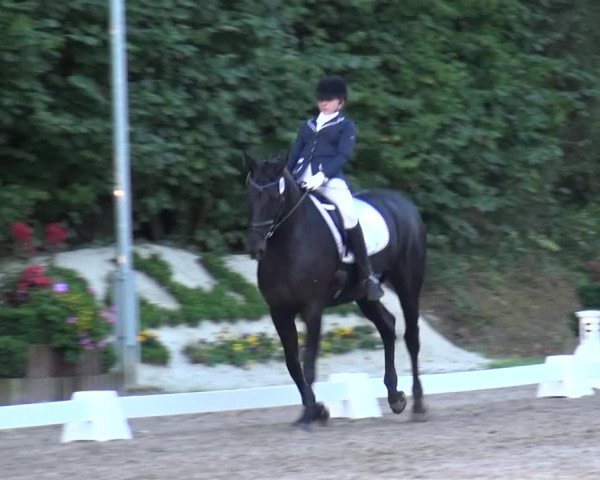 Reitturnier Würselen-Pley 2016