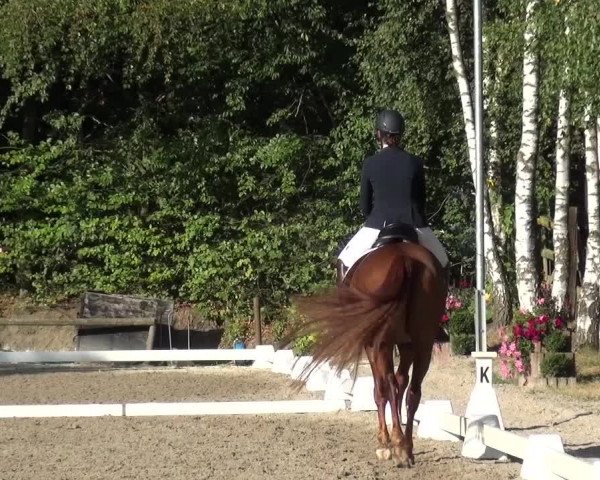 Reitturnier Würselen-Pley 2016