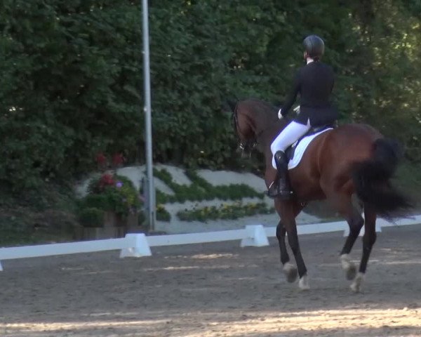 Reitturnier Würselen-Pley 2016