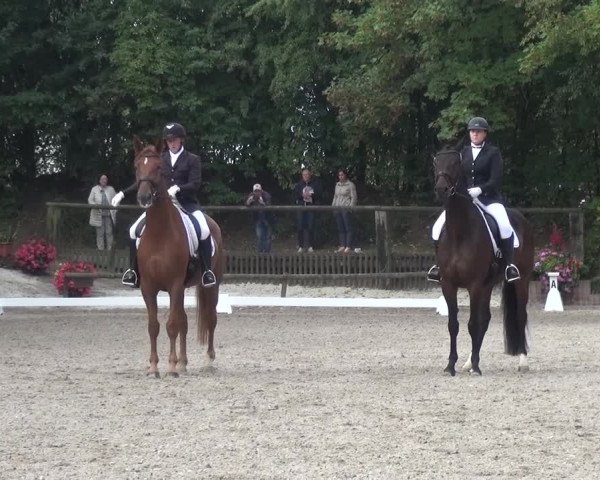 Reitturnier Würselen-Pley 2016