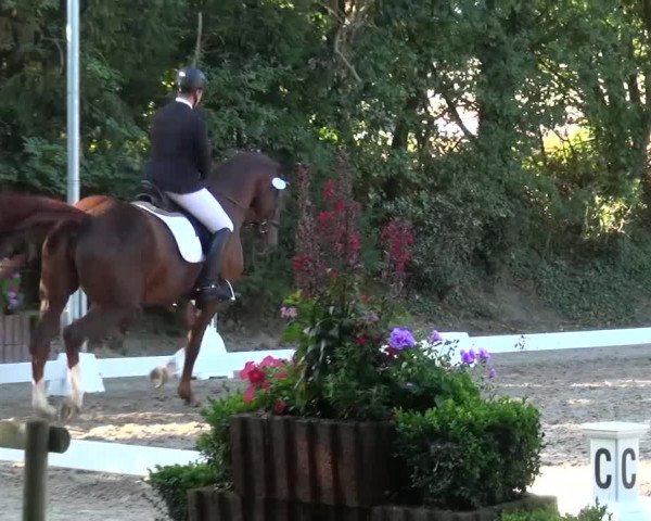 Reitturnier Würselen-Pley 2016