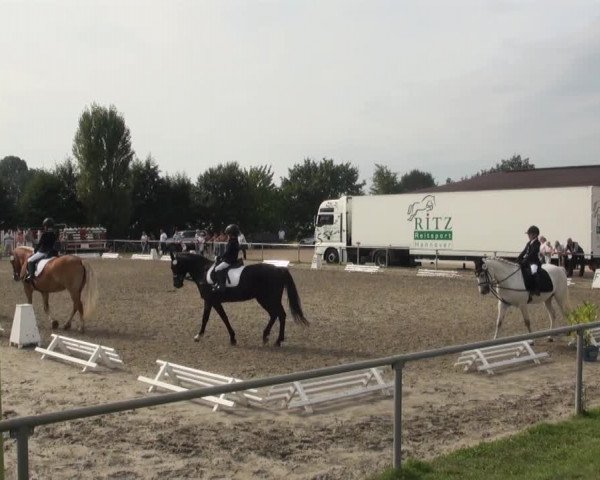 Reitturnier Appelhülsen 2016