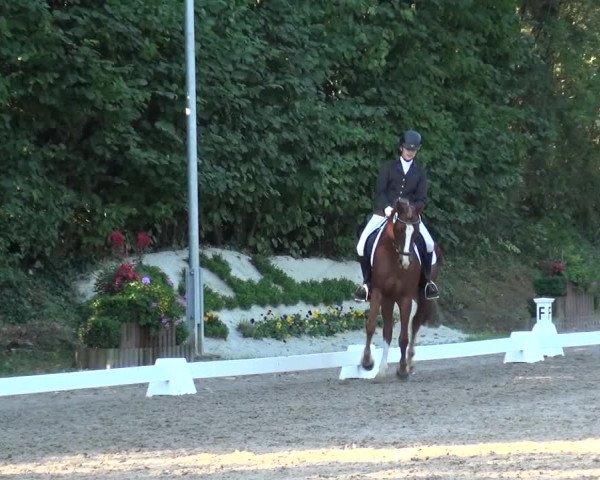 Reitturnier Würselen-Pley 2016