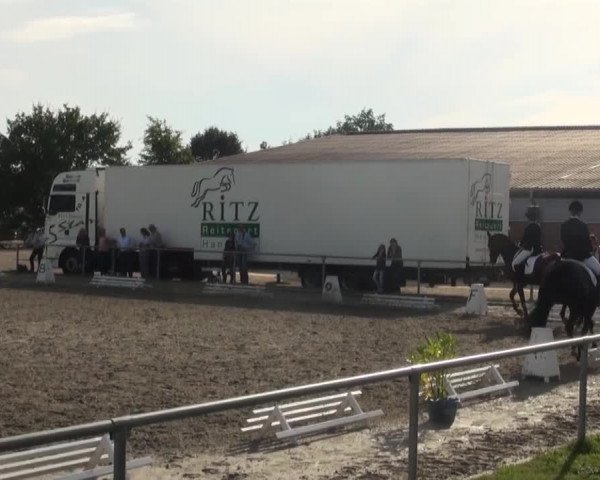 Reitturnier Appelhülsen 2016