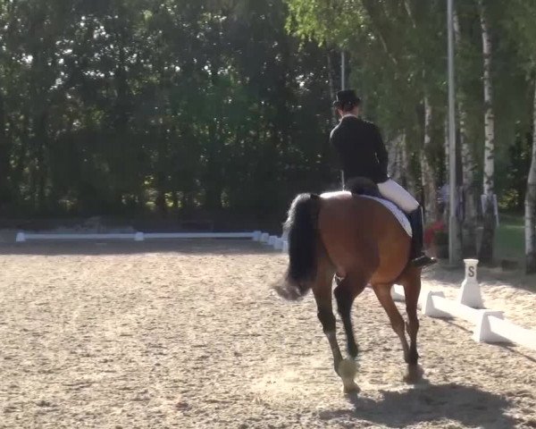 Reitturnier Würselen-Pley 2016