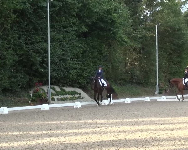 Reitturnier Würselen-Pley 2016