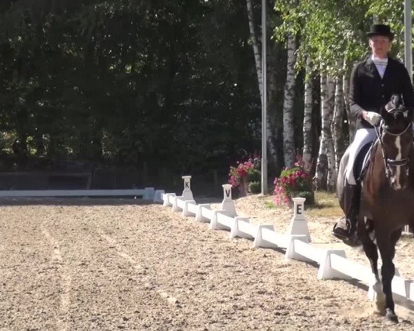 Reitturnier Würselen-Pley 2016