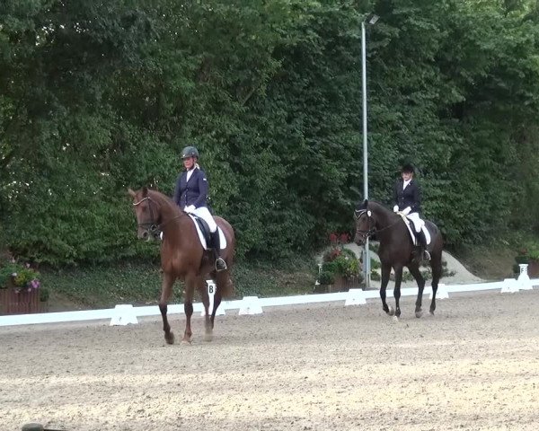Reitturnier Würselen-Pley 2016