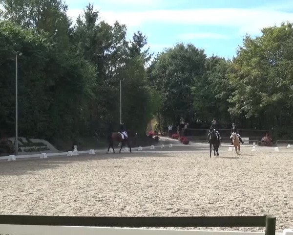 Reitturnier Würselen-Pley 2016