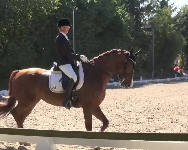 Reitturnier Würselen-Pley 2016