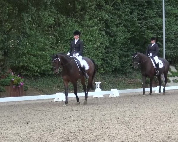 Reitturnier Würselen-Pley 2016