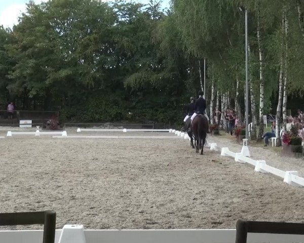 Reitturnier Würselen-Pley 2016