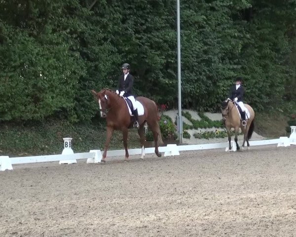 Reitturnier Würselen-Pley 2016