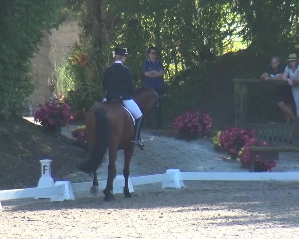 Reitturnier Würselen-Pley 2016