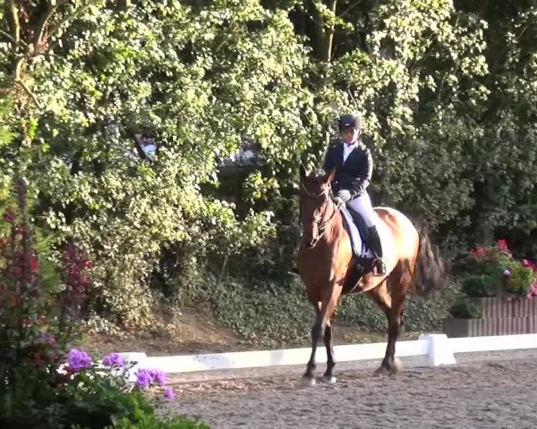 Reitturnier Würselen-Pley 2016