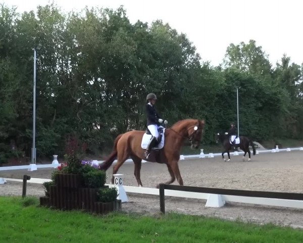 Reitturnier Würselen-Pley 2016