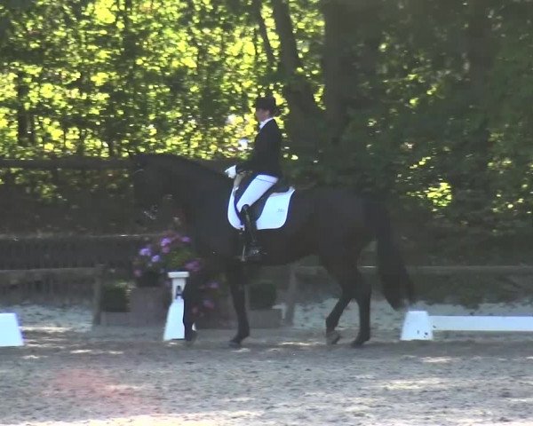 Reitturnier Würselen-Pley 2016