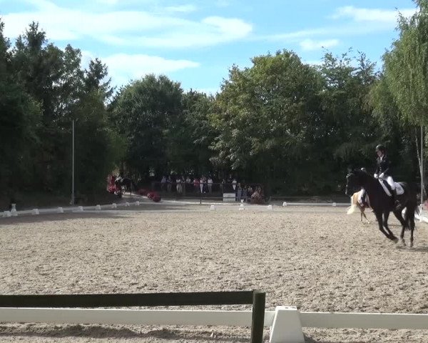 Reitturnier Würselen-Pley 2016