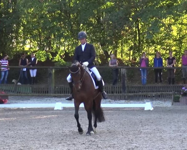 Reitturnier Würselen-Pley 2016