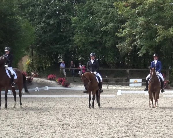 Reitturnier Würselen-Pley 2016